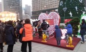 서울시청앞 크리스마스트리
